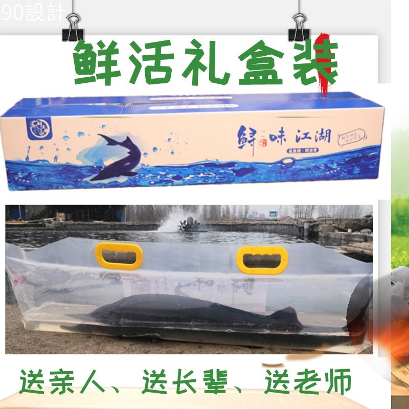 鮮活鱘龍魚禮品卡