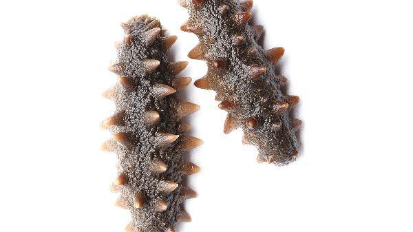 如何判斷海龍干是否受潮？