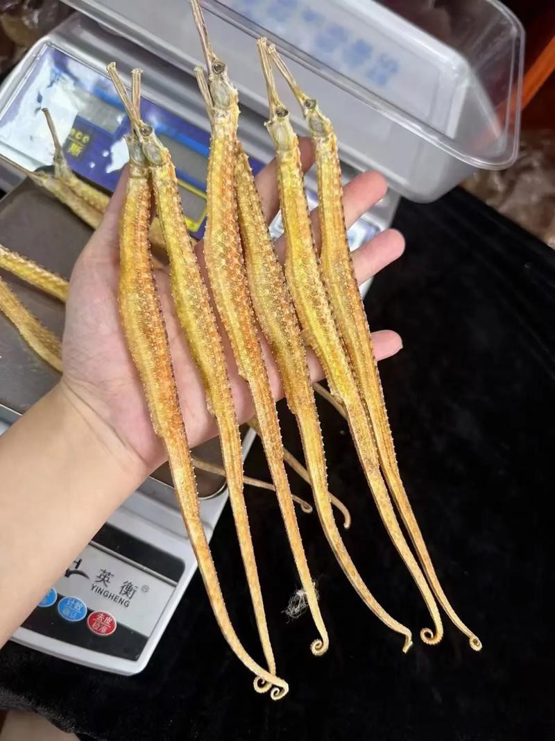如何判斷海龍干是否受潮？