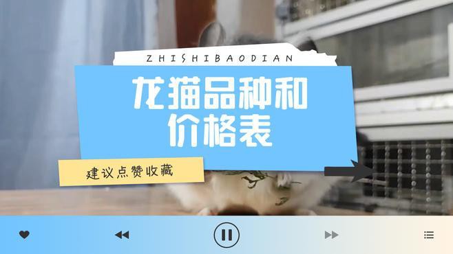 金色龍貓和白色龍貓哪個更稀有？