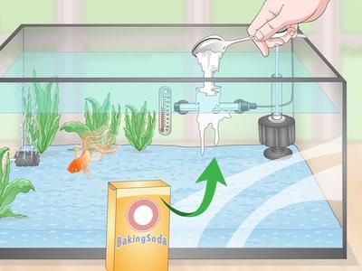 如何監測水族箱中的氨氮含量（監測水族箱中氨氮含量的方法）