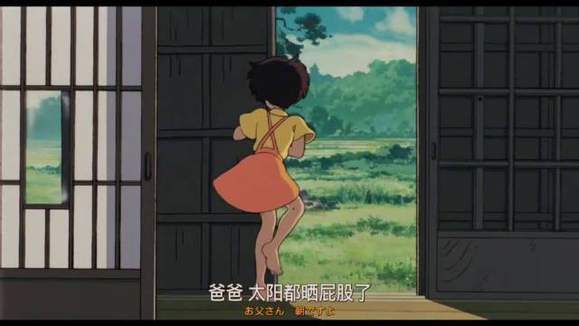 如何科學飼養龍貓和荷蘭豬？