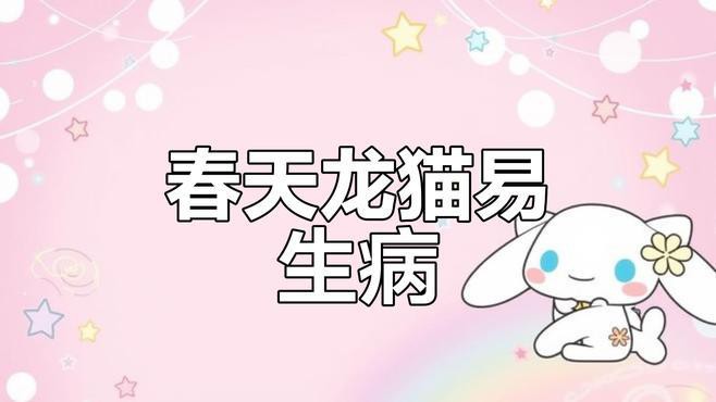 如何科學飼養龍貓和荷蘭豬？