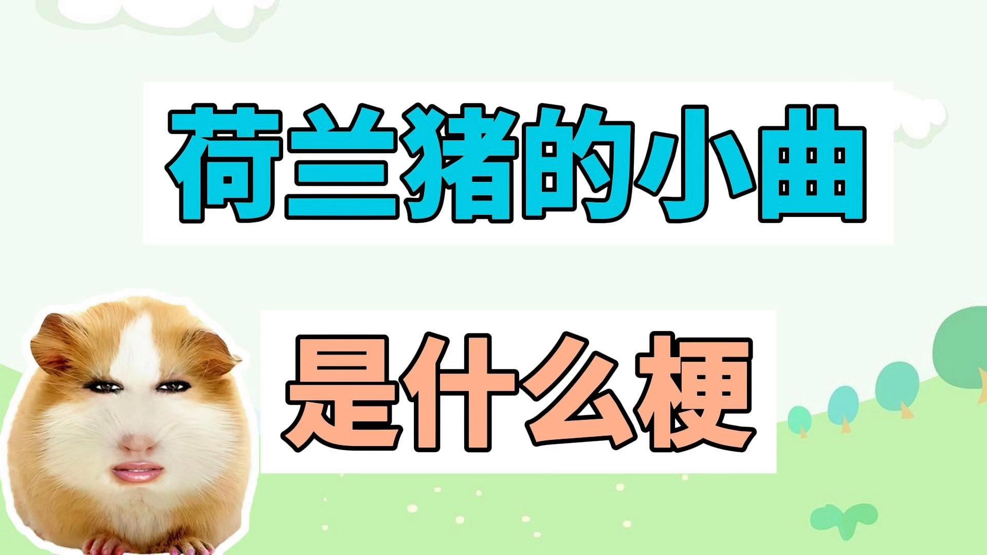 如何科學飼養龍貓和荷蘭豬？