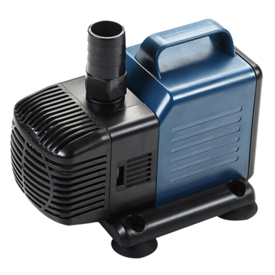 寶龍魚缸實體店多少錢（寶龍魚缸實體店價格信息）