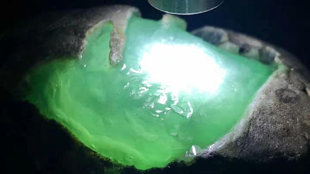 翡翠鳳凰魚養殖技術要點，翡翠鳳凰魚養殖技術要點，