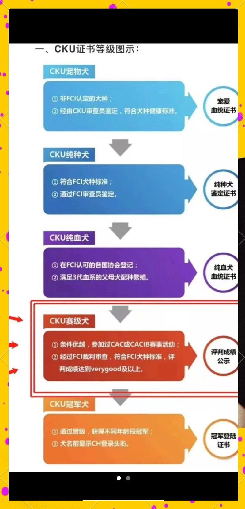 血統(tǒng)級和賽級有什么區(qū)別