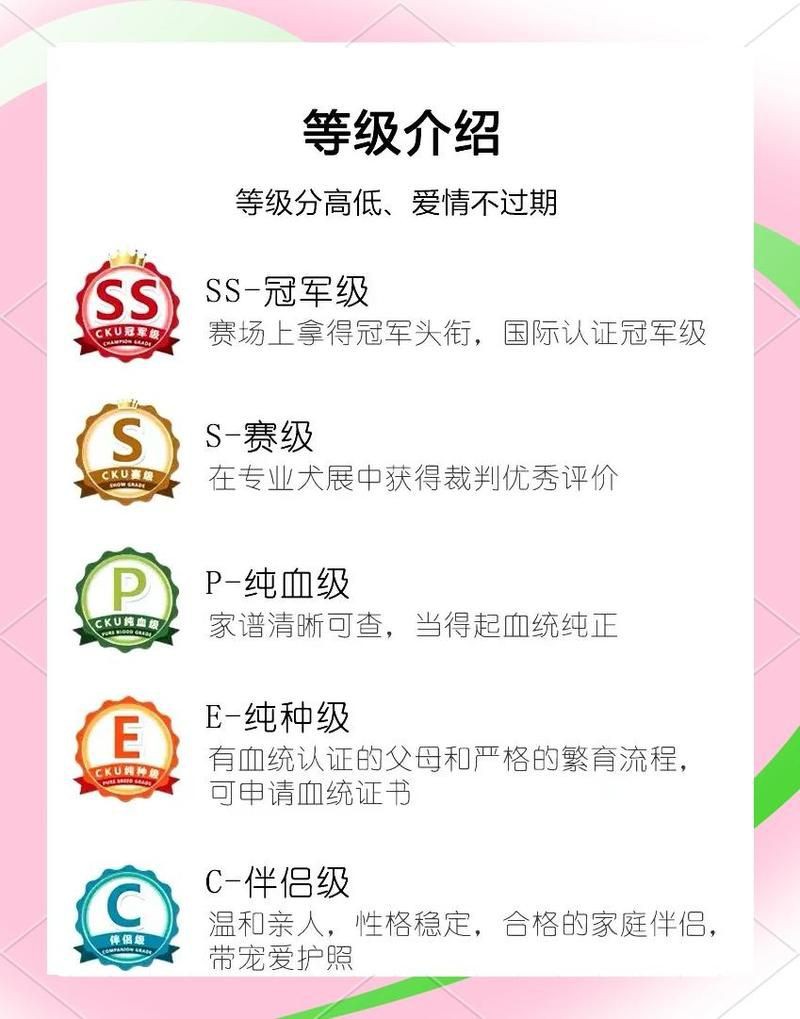血統(tǒng)級和賽級有什么區(qū)別