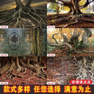 龍魚造景：龍魚缸造景案例：龍魚缸造景案例，龍魚缸造景案例
