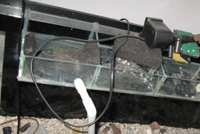 魚缸泵不冒泡怎么回事（如何檢查魚缸泵電源連接氣泵電機故障的判斷方法）