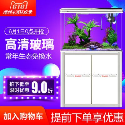 養龍魚買什么品牌的魚缸：養龍魚選擇什么品牌好