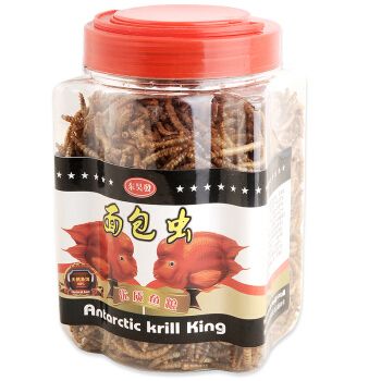 銀龍魚所需所有用品（銀龍魚所需的主要用品）