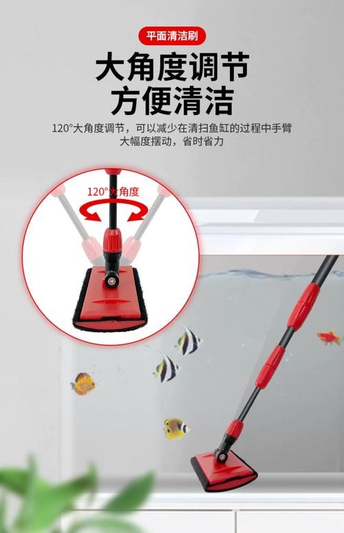 龍魚缸的清理和換水頻率