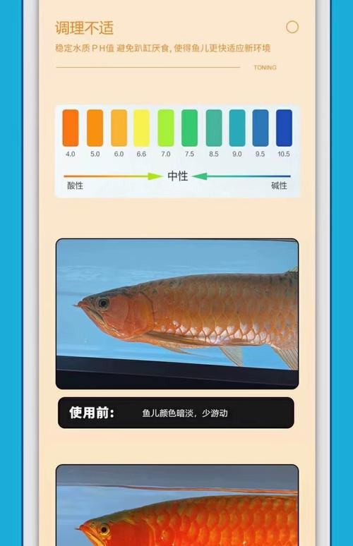 龍魚長期趴缸是什么原因分析圖解