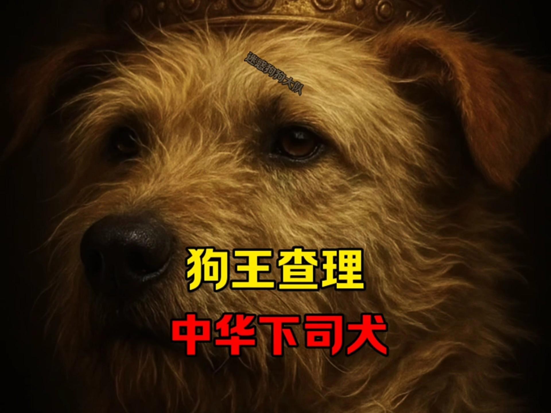 這兩種稀有品種的價(jià)格是多少？