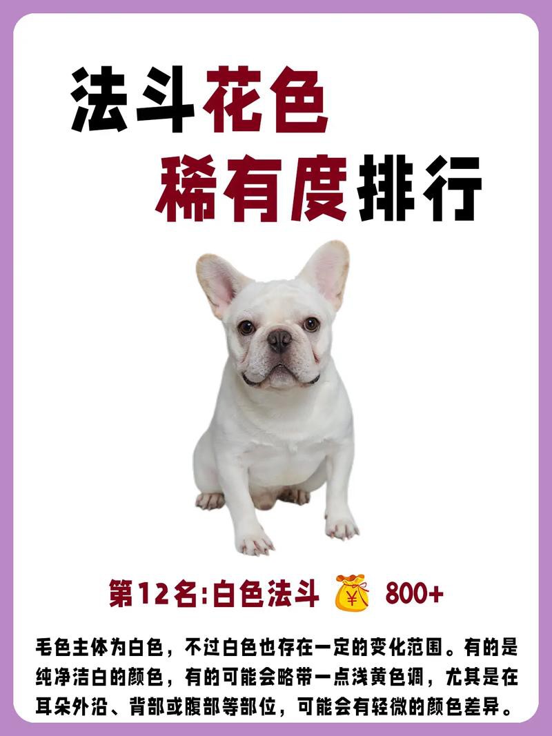 這兩種稀有品種的價(jià)格是多少？