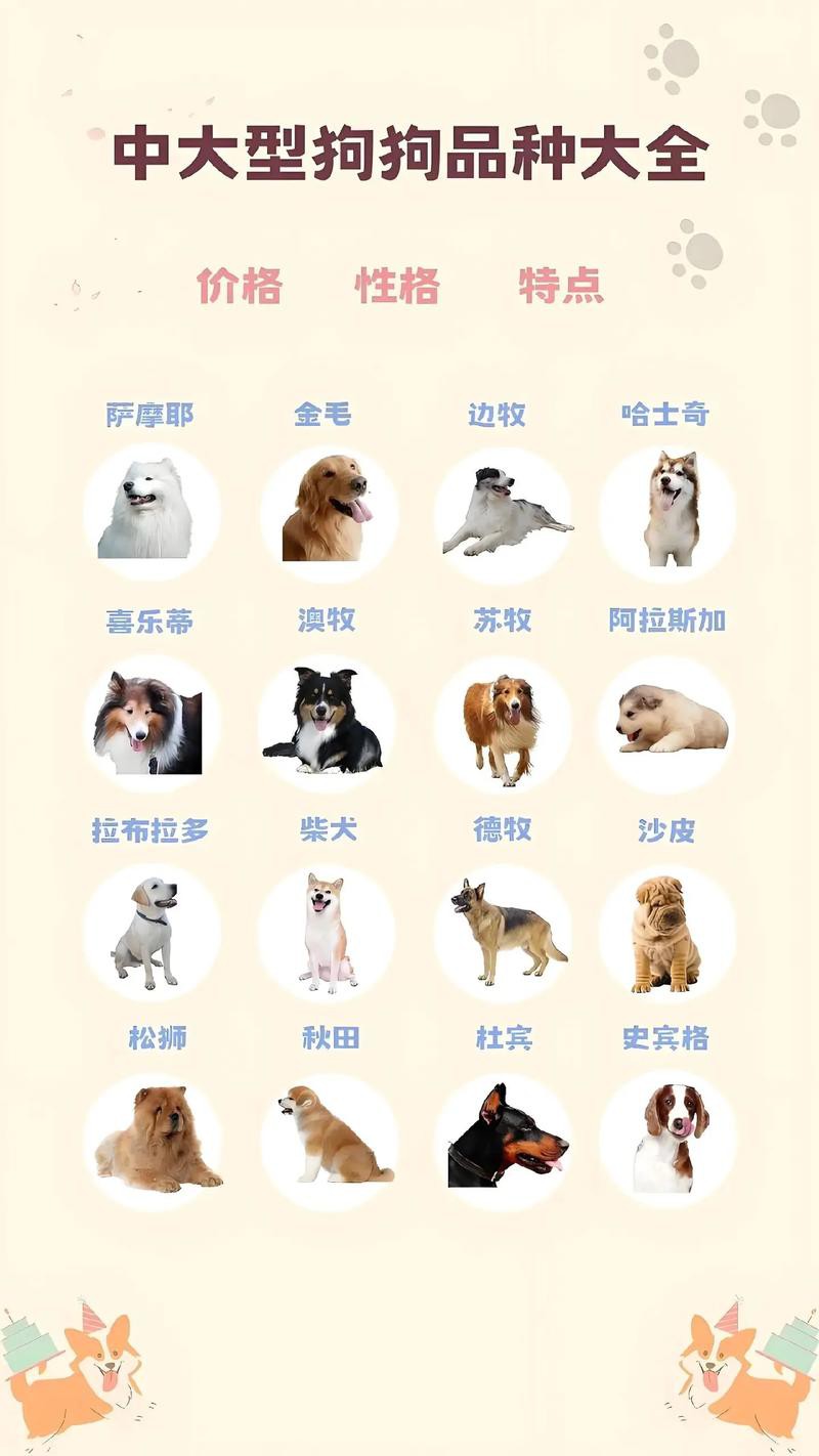 這兩種稀有品種的價(jià)格是多少？