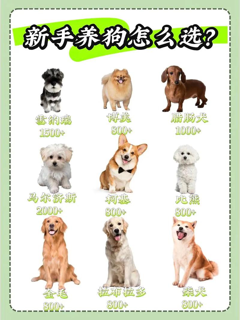 這兩種稀有品種的價(jià)格是多少？