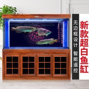 龍魚(yú)多少錢(qián)：龍魚(yú)市場(chǎng)價(jià)格最新動(dòng)態(tài)