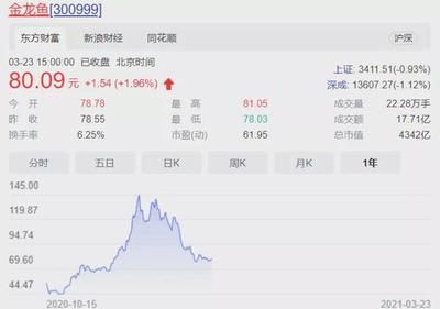 金龍魚板塊，深入分析金龍魚板塊