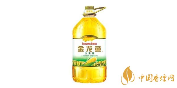 金龍魚板塊，深入分析金龍魚板塊