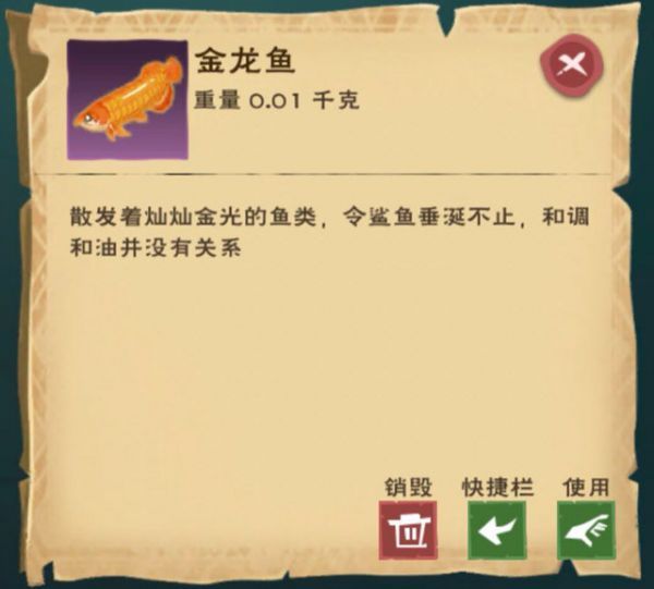 金龍魚板塊，深入分析金龍魚板塊