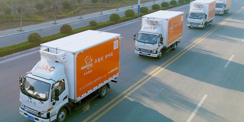 金龍魚板塊，深入分析金龍魚板塊