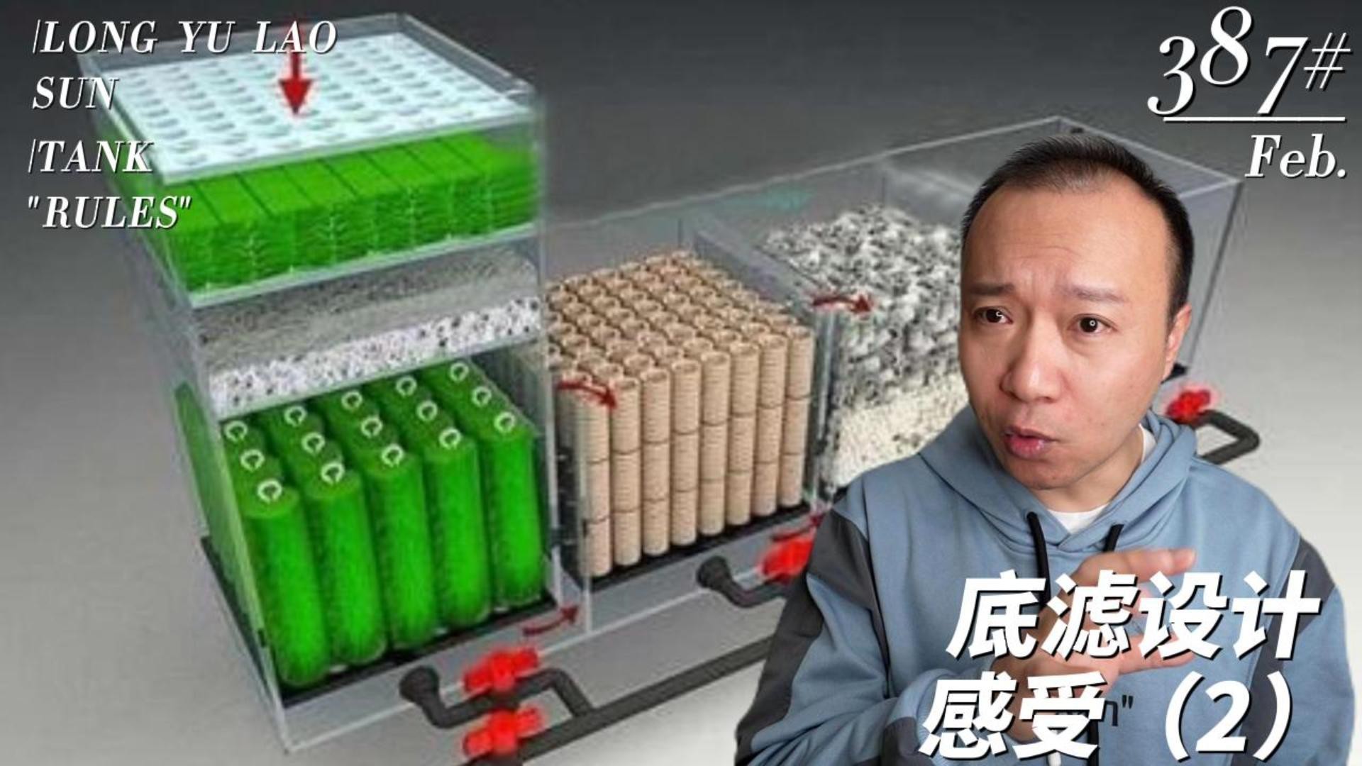 如何選擇適合養(yǎng)黑鱗龍魚(yú)的魚(yú)缸？