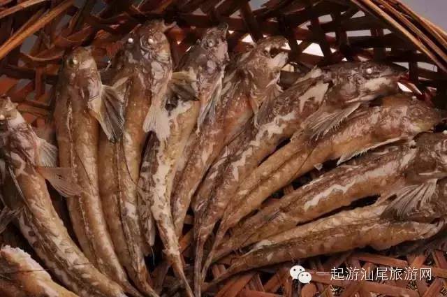 潮汕金龍魚是什么魚做的菜