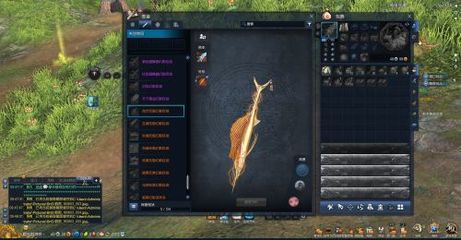 金龍魚怎么樣才爬背上色快（金龍魚爬背上色快的飼養技巧）