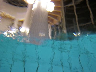 龍魚總是往下游怎么回事：龍魚總是往下游可能由多種因素引起龍魚游向下游的原因
