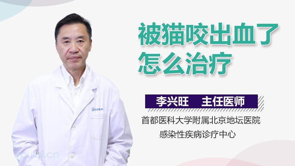 如何護(hù)理被龍貓咬傷的傷口？