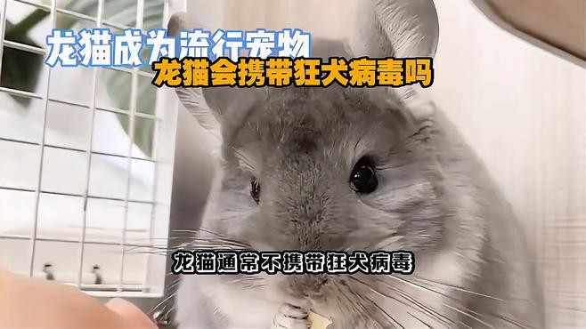 如何護(hù)理被龍貓咬傷的傷口？