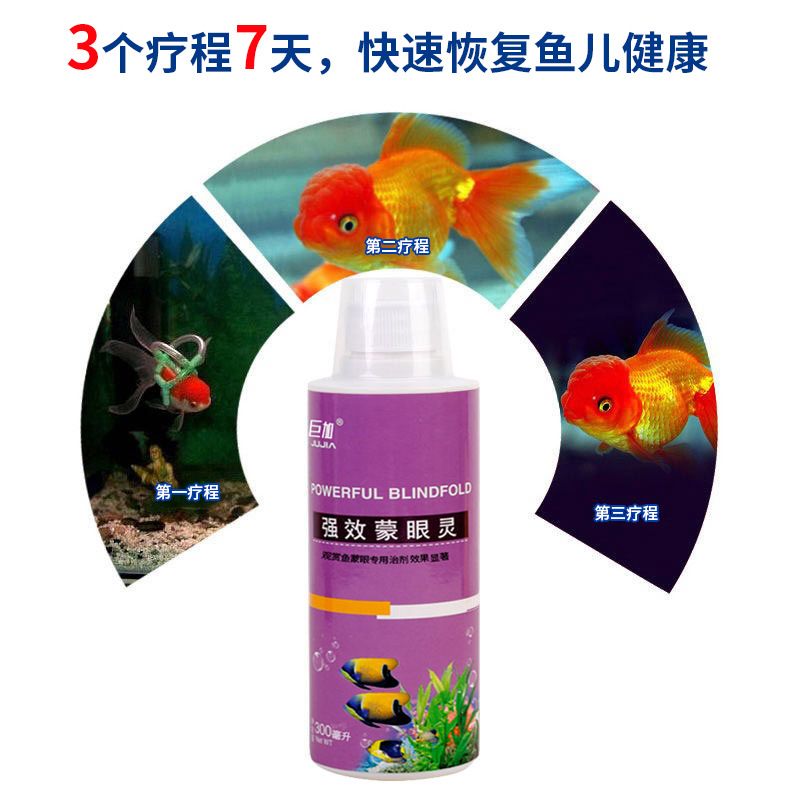 龍魚蒙眼病用什么藥好使（治療龍魚蒙眼病時需要注意什么，龍魚蒙眼病的日常預防方法）