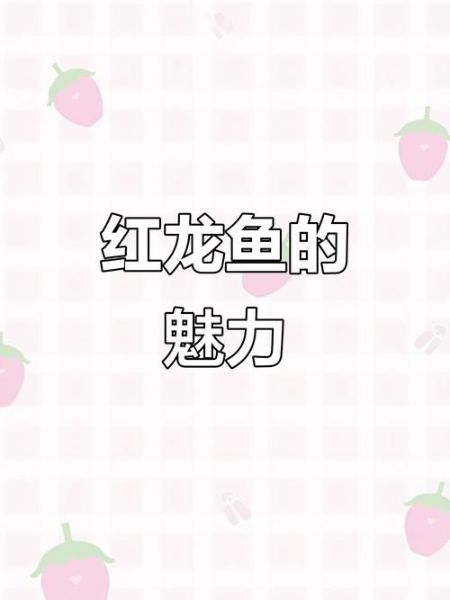 紅龍魚品種排行圖