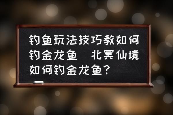 頂級紅龍魚品種有哪些：《釣魚大咖》中金龍魚釣深的策略