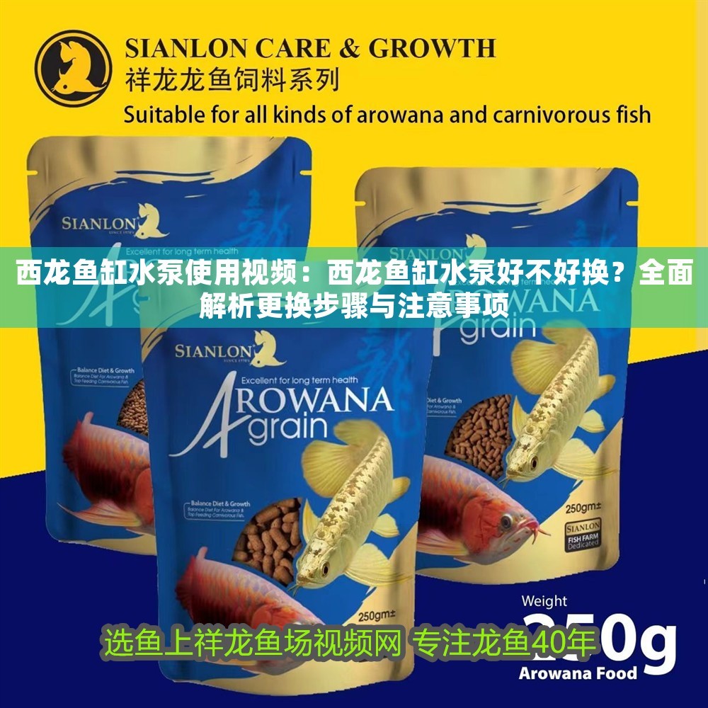 西龍魚缸水泵使用視頻：西龍魚缸水泵好不好換？全面解析更換步驟與注意事項