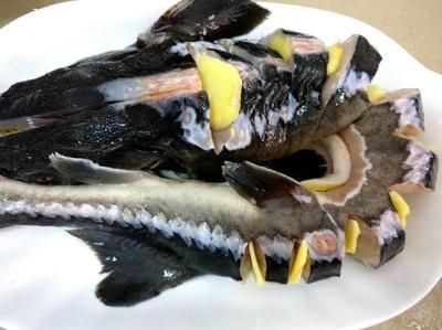 潯龍魚市場價多少一斤（鱘龍魚多少錢一斤）