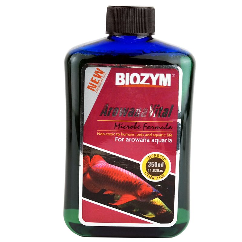 龍魚喂什么長(zhǎng)的快：龍魚幼苗階段的喂養(yǎng)策略和注意飼料的選擇和搭配方法