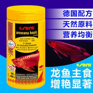 龍魚喂什么長(zhǎng)的快：龍魚幼苗階段的喂養(yǎng)策略和注意飼料的選擇和搭配方法