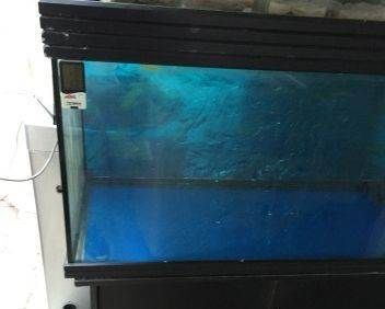 太原魚(yú)缸廠(chǎng)家直銷(xiāo)店在哪兒， 太原魚(yú)缸廠(chǎng)家直銷(xiāo)店在哪兒啊