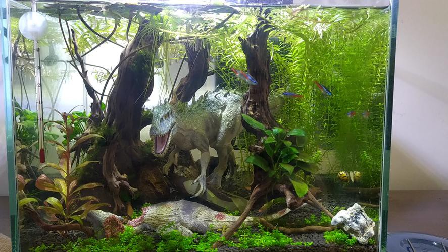 恐龍魚缸布景