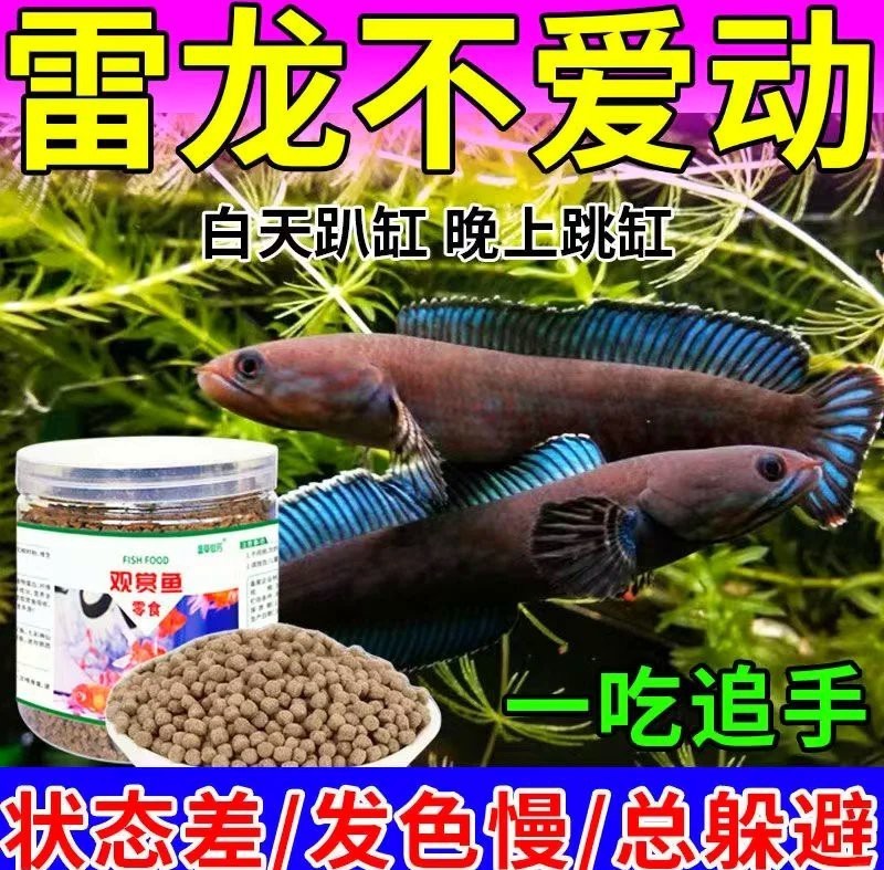 如何清洗和準備喂給雷龍魚的蔬菜？