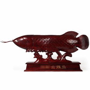 紅木金龍魚擺件怎么擺放(紅木金龍魚擺件怎么擺放金龍魚擺件擺放方法及禁忌)