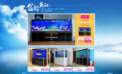 龍魚工坊旗艦店怎么樣：龍魚工坊旗艦店怎么樣？