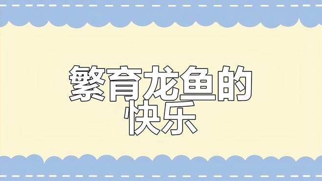 銀龍魚怎么繁殖技術(shù)