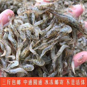 金龍魚喂河蝦好嗎怎么喂：金龍魚喂河蝦好嗎