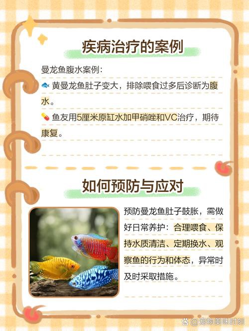 能再詳細說說曼龍魚的飼養要求嗎? 龍魚百科 第13張 能再詳細說說曼龍魚的飼養要求嗎? 能再詳細說說曼龍魚的飼養要求嗎? 龍魚百科 第13張