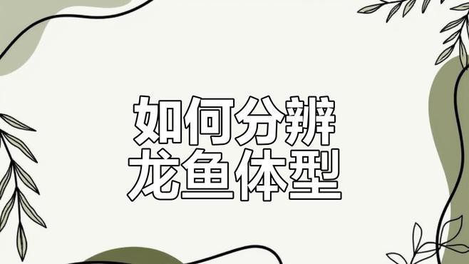 多大的缸適合養龍魚呢