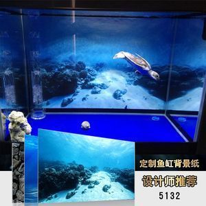 龍魚背景紙什么樣的好（如何正確安裝龍魚背景紙，不同光照下龍魚背景紙的日常維護方法）